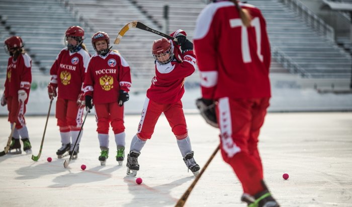 Сборная России по хоккею с мячом разгромила команду Финляндии со счетом 8:2