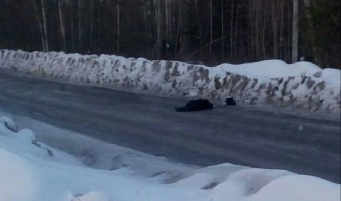 В Усть-Илимске разыскивают водителя, сбившего насмерть женщину