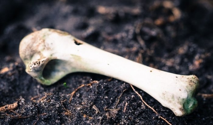 В Москве рабочие нашли в коллекторе останки человеческого скелета