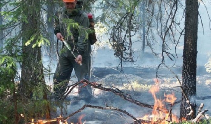 В профилактике и тушении лесных пожаров в Приангарье примут участие добровольцы
