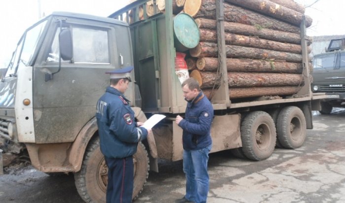 В Нижнеилимском районе полиция проверяет состояние транспорта, перевозящего древесину