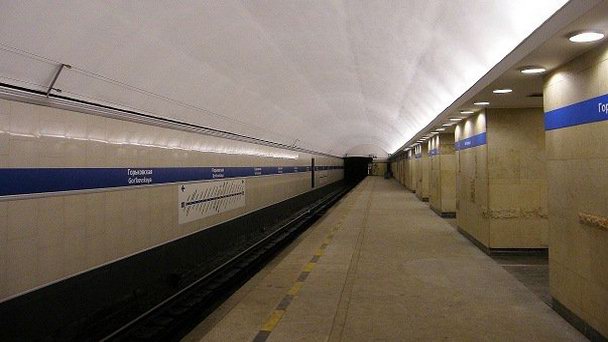 В петербургском метро студент перевозил человеческие органы