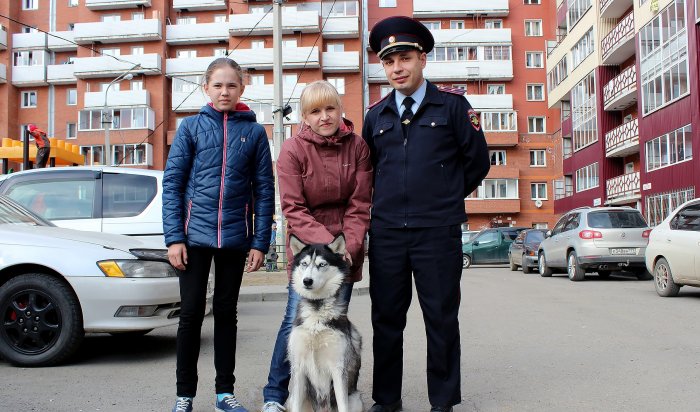 В Иркутске женщине-инвалиду вернули похищенную собаку породы хаски