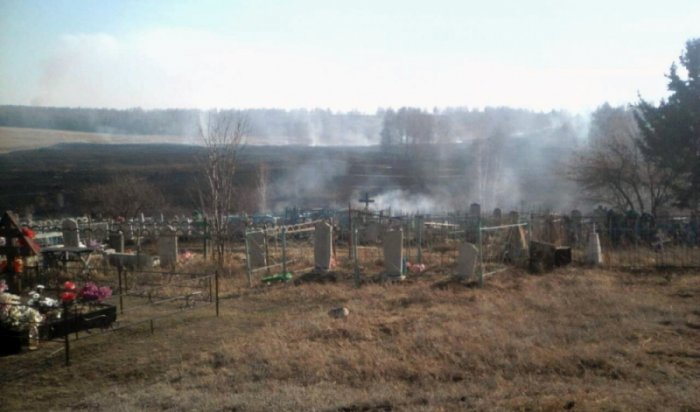 Сжигание мусора на кладбище стало причиной лесного пожара в Зиминском районе
