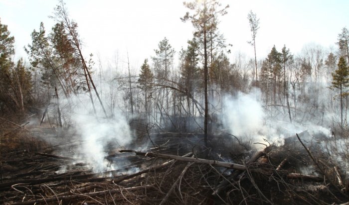 В Приангарье за сутки вновь вспыхнули 32 лесных пожара