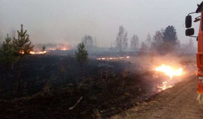 Утром новых лесных пожаров в Иркутской области не зарегистрировано