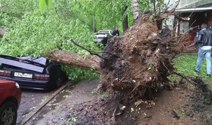 В результате урагана в Москве погибли 11 человек