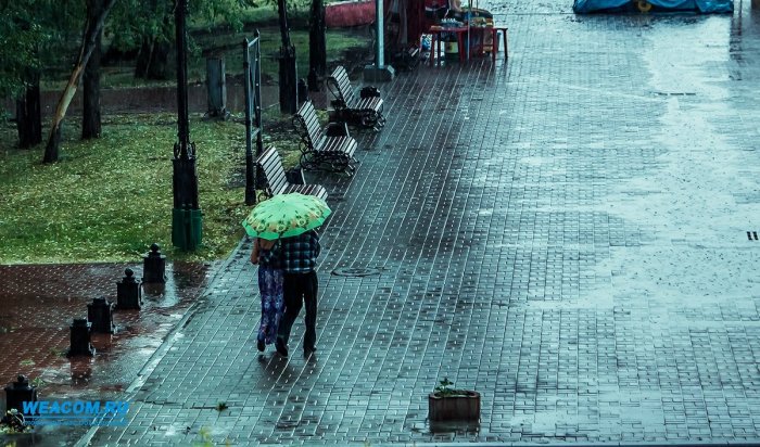 Дожди и грозы ожидаются в ближайшие сутки в Иркутской области