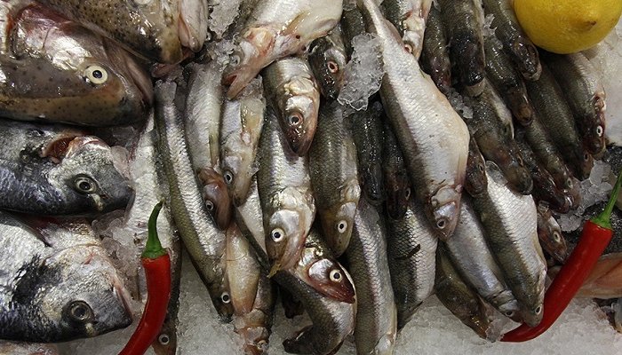 Россельхознадзор предупредил о массовом вбросе в магазины Сибири прошлогодней рыбы