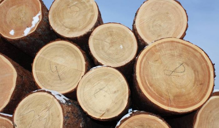 В Иркутской области реализуется третий этап пилотного для России проекта по маркировке древесины