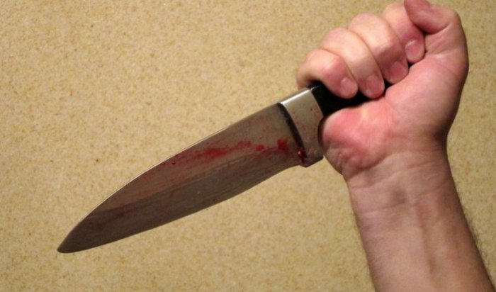 В Аларском районе 7-летняя девочка ударила ножом преступника, убившего ее мать