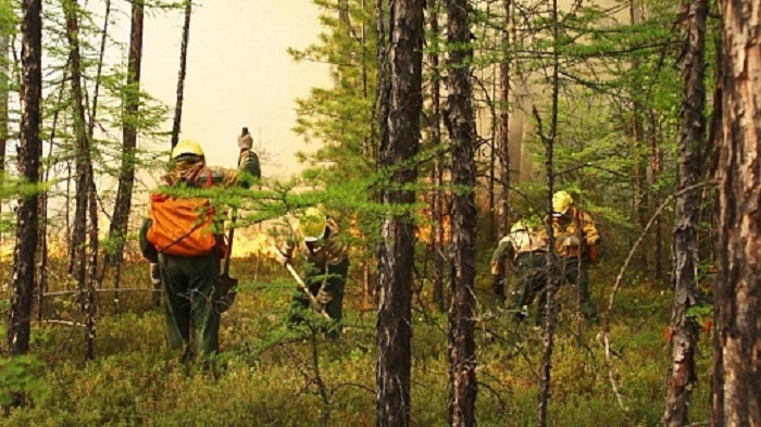 В Приангарье на землях лесного фонда тушат пять пожаров