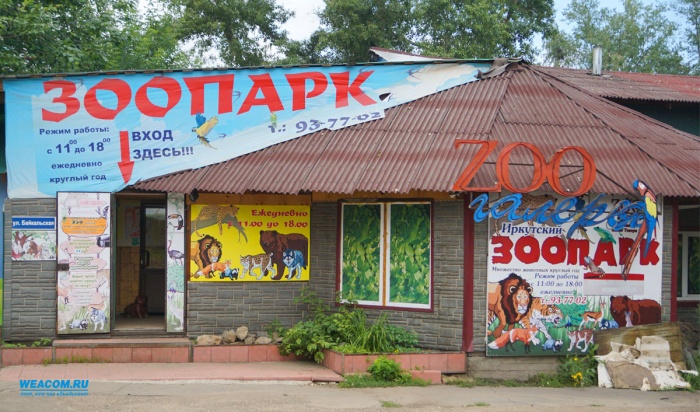 Зоогалерее в Иркутске разрешили не покидать территорию ЦПКиО до 1 июня 2018 года
