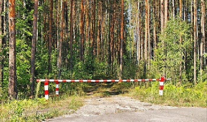 В Иркутской области снова ограничили доступ в лес до 21 августа