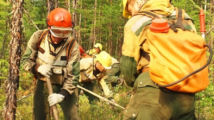В Приангарье ликвидировали 22 лесных пожара в минувшие выходные