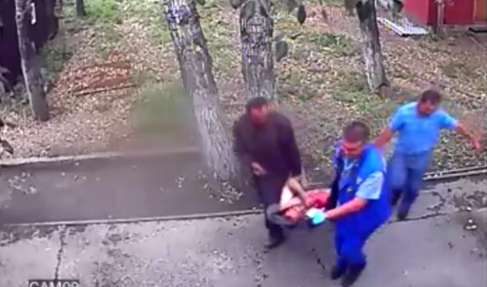 В Шелеховском районе медведь оторвал руку 42-летнему посетителю кафе