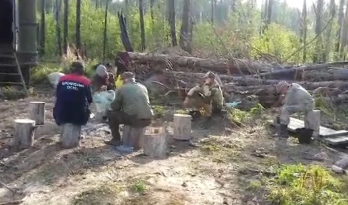 В Черемховском районе семеро мужчин незаконно вырубили лес более чем на миллион рублей