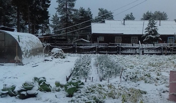 На севере Иркутской области выпал первый снег 26 августа