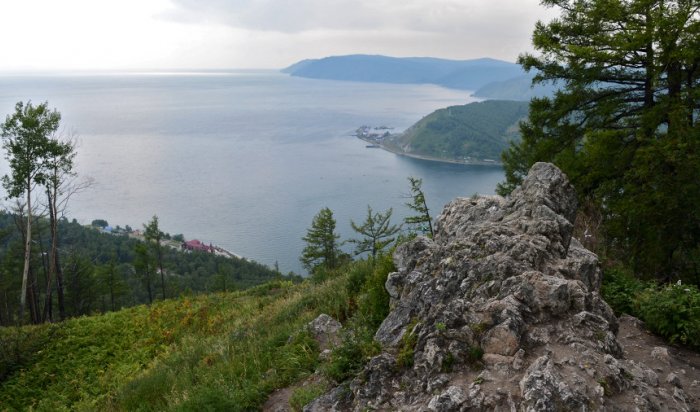 Минприроды хочет разрешить сплошные рубки леса возле Байкала