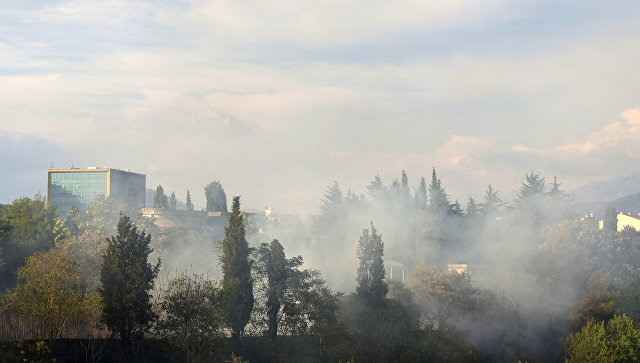 В Черногории заблудившийся турист устроил огромный пожар