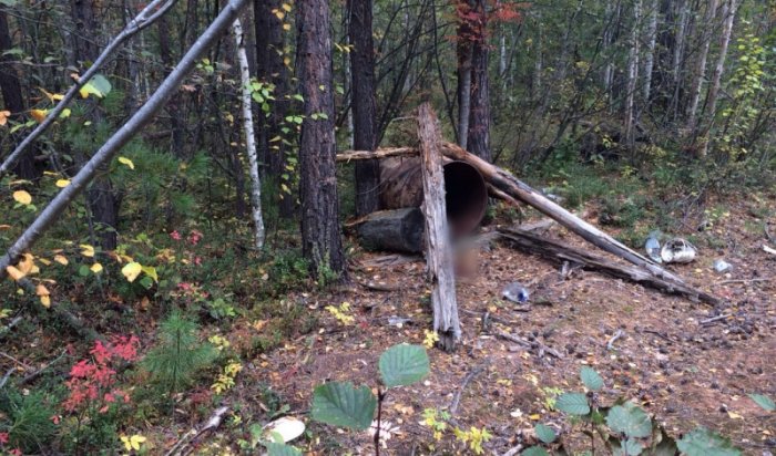 В Казачинско-Ленском районе погиб мужчина, попав в лесу в ловушку для хищников