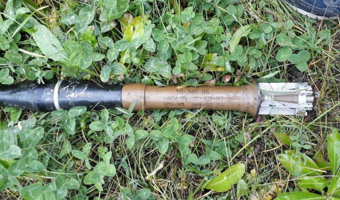 В лесу в Киренском районе обнаружены две мины и гранаты