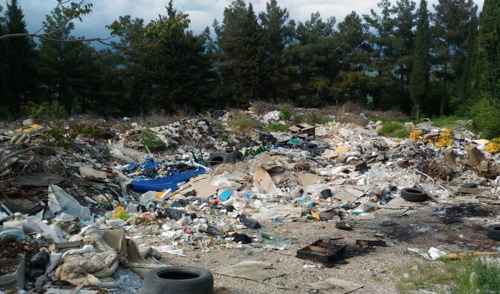 В Ангарске выявлена несанкционированная свалка экологически опасных отходов