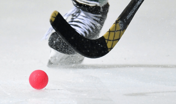 Иркутская команда «ДЮСШ „Рекорд“» заняла второе место на Кубке мира по хоккею с мячом