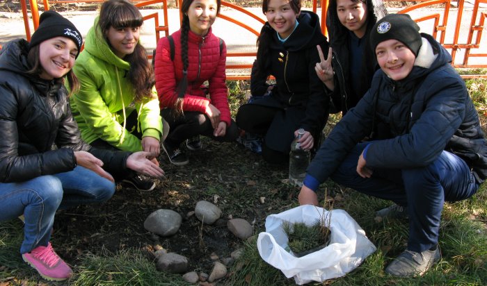 Экологическая акция «Кедровая сказка» прошла в предместье Рабочем в Иркутске