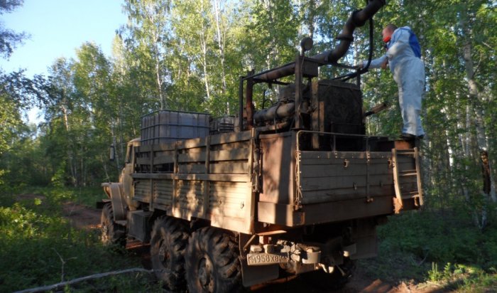 В Иркутской области на борьбу с сибирским коконопрядом в 2018 году потратят более 62 миллионов рублей