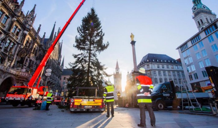 Огромная рождественская ель в Германии вызвала хаос на дорогах