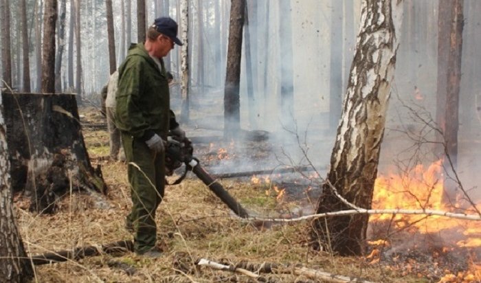 Лес начал гореть в Иркутской области