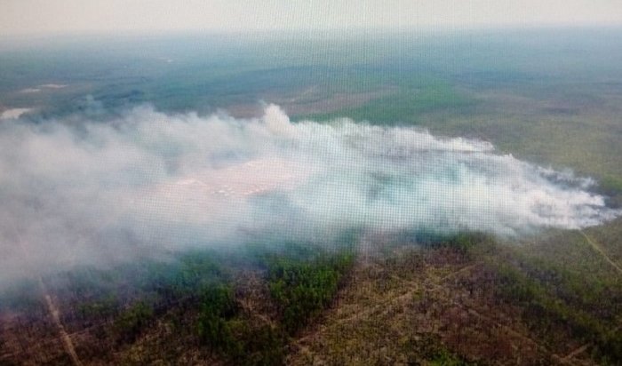 Лесной пожар в Усольском районе потушили при помощи искусственного вызывания осадков