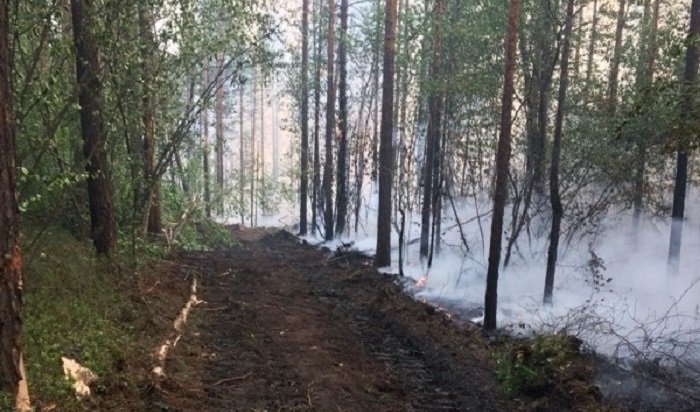 В Приангарье действуют 82 лесных пожара на площади почти 69 тысяч га