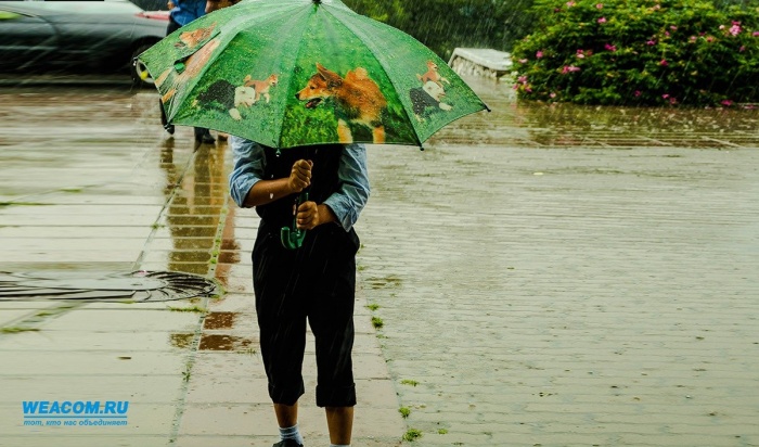 Синоптики ожидают дожди и грозы в Приангарье до конца рабочей недели