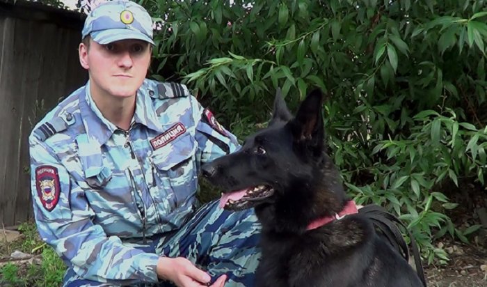 В Иркутском районе служебная собака помогла поймать воров (Видео)