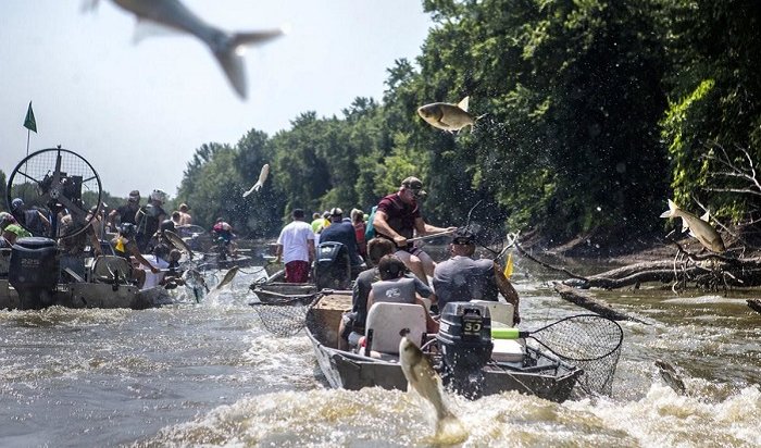 На реке Иллинойс в США начался сезон охоты на летающего карпа (Видео)