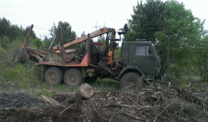 В Приангарье пятеро черных лесорубов причинили ущерб на 3 млн рублей