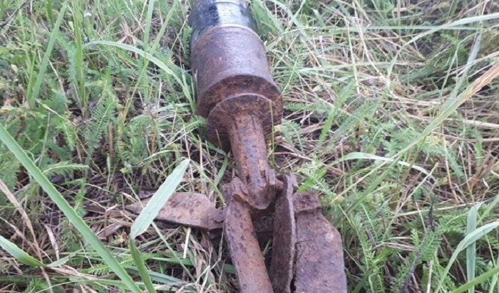 Житель Шелеховского района нашел в лесу старый артиллерийский снаряд