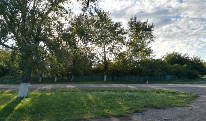 В Черемховском районе неизвестный водитель сбил насмерть 36-летнего пешехода (Видео)