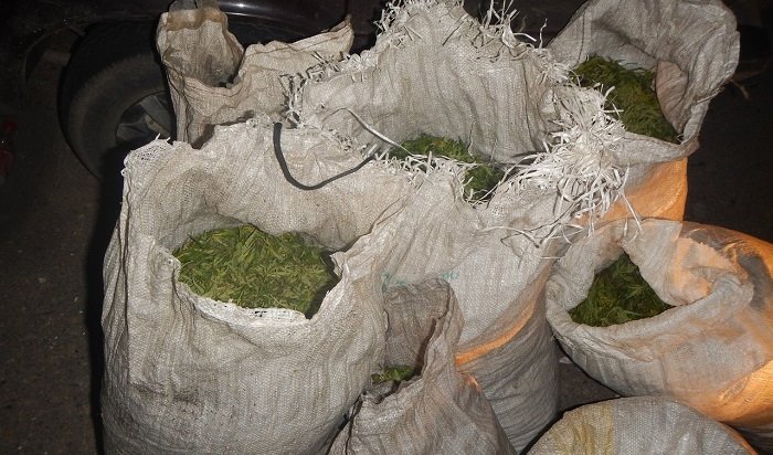 В Зиме полицейские нашли в «Жигулях» 40 кг марихуаны