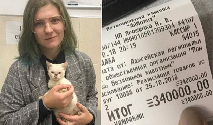 Студентка из Майкопа отдала приюту 340 тысяч рублей за котенка с улицы
