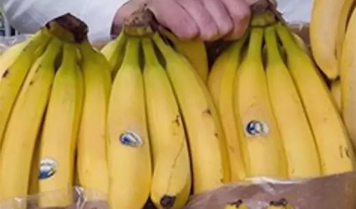 В магазинах Польши обнаружили 170 килограммов кокаина, спрятанного в бананах