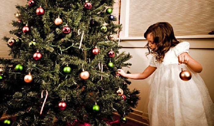 Роскачество рассказало, как выбрать хорошую новогоднюю елку: живую или искусственную