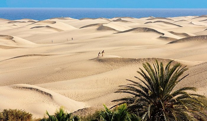 На Канарах туристов могут посадить за рисунок на песке