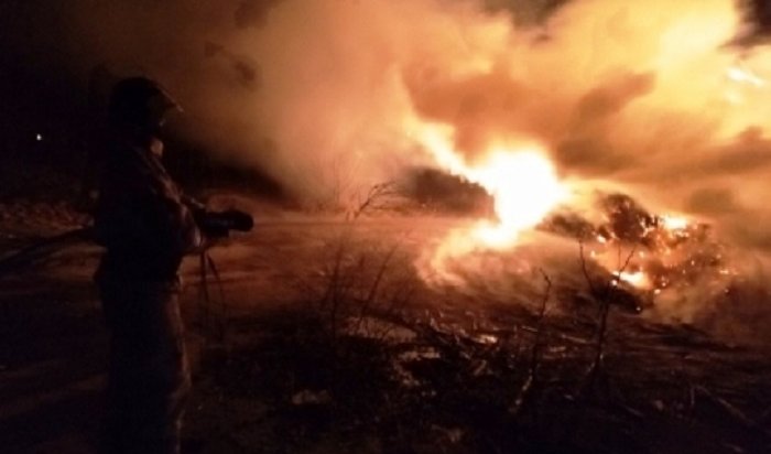 В Приангарье оштрафовали семь поджигателей сухой травы
