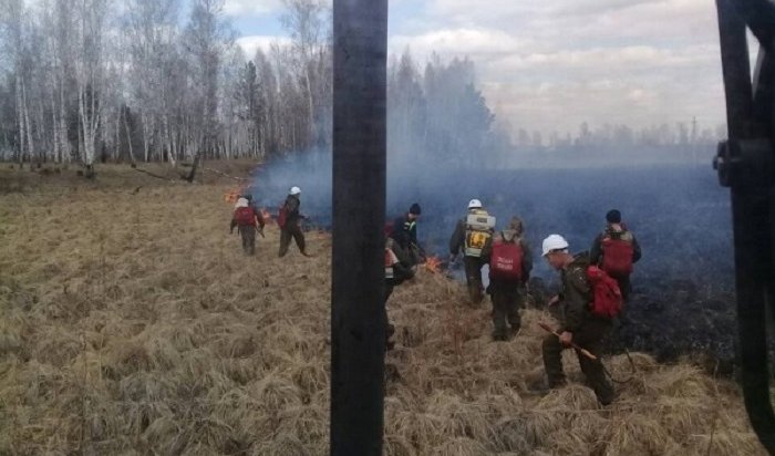 Пять лесных пожаров ликвидировали в Иркутской области 23 апреля