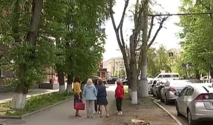 Жители улицы Пролетарской в Иркутске недовольны вырубкой вязов (Видео)