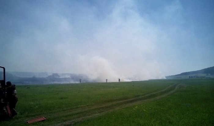 Площадь лесных пожаров в Иркутской области выросла до 558 тысяч гектаров