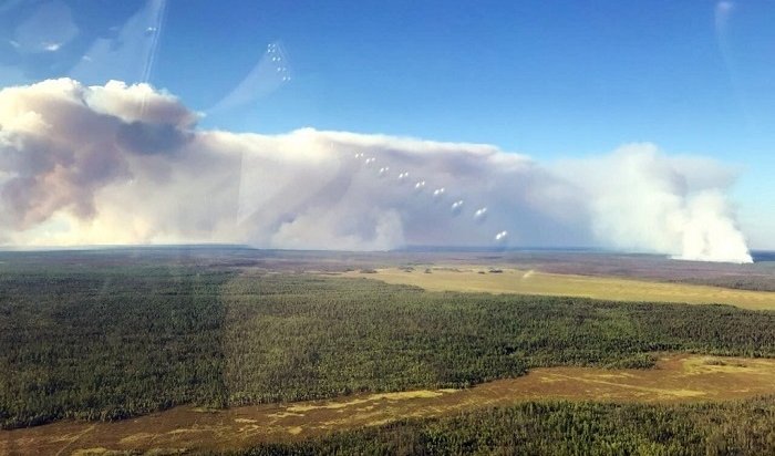 Певица Монеточка выпустила песню о лесных пожарах в Сибири